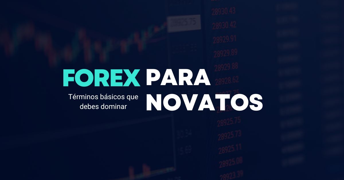 Forex para principiantes: Los términos básicos que debes conocer